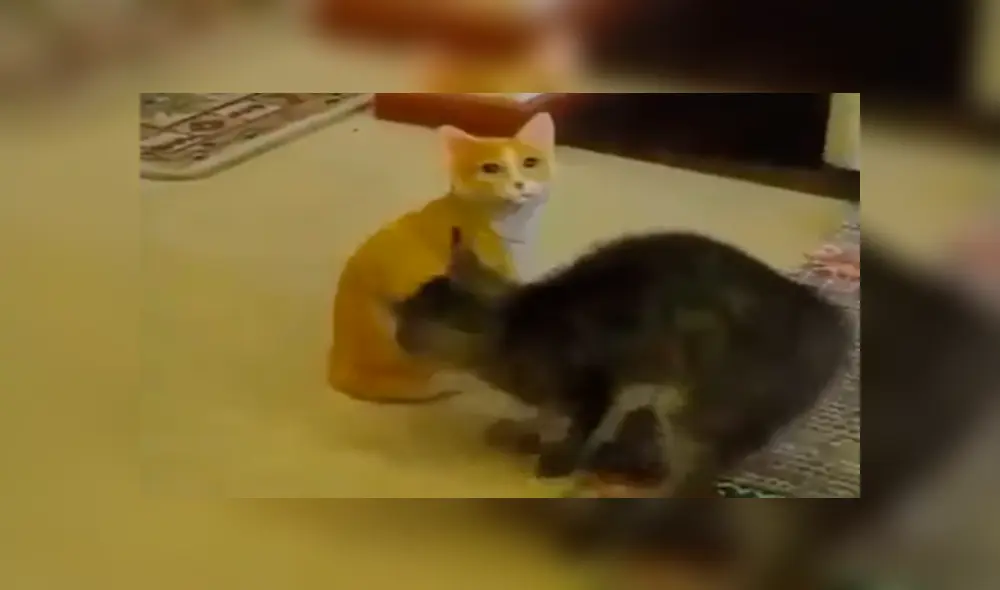 En YouTube, un joven compró un adorno en forma de gato para su casa y su mascota lo agarró para jugar. En YouTube, un joven compró un adorno en forma de gato para su casa y su mascota lo agarró para jugar.