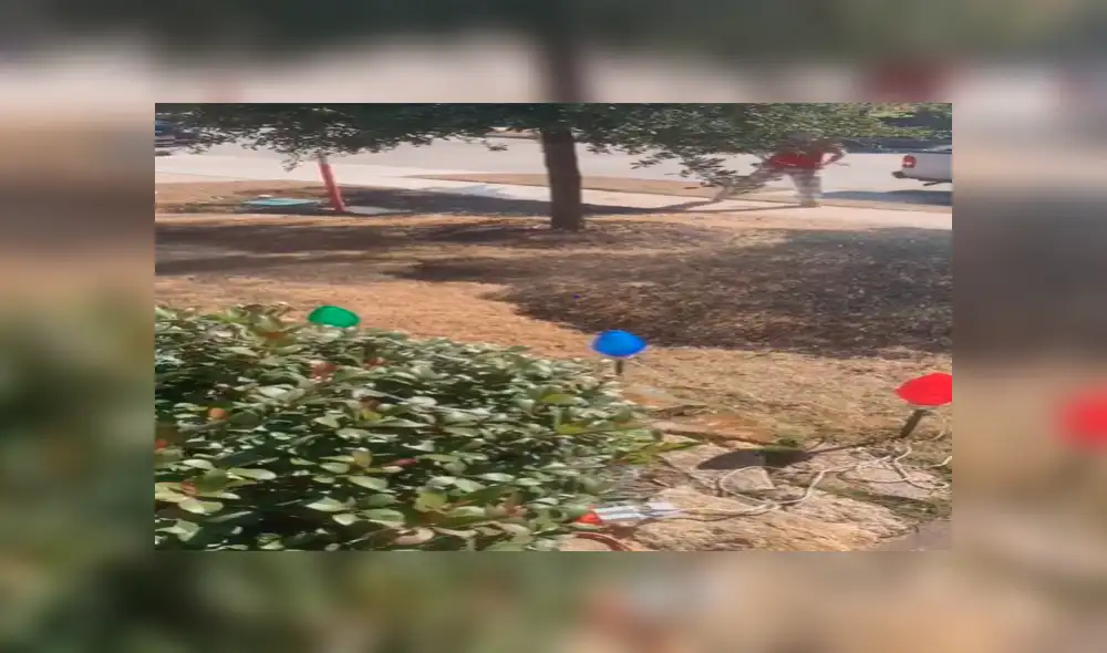 Niño pide lupa como regalo de Navidad y termina incendiado el jardín de su casa [VIDEO] 