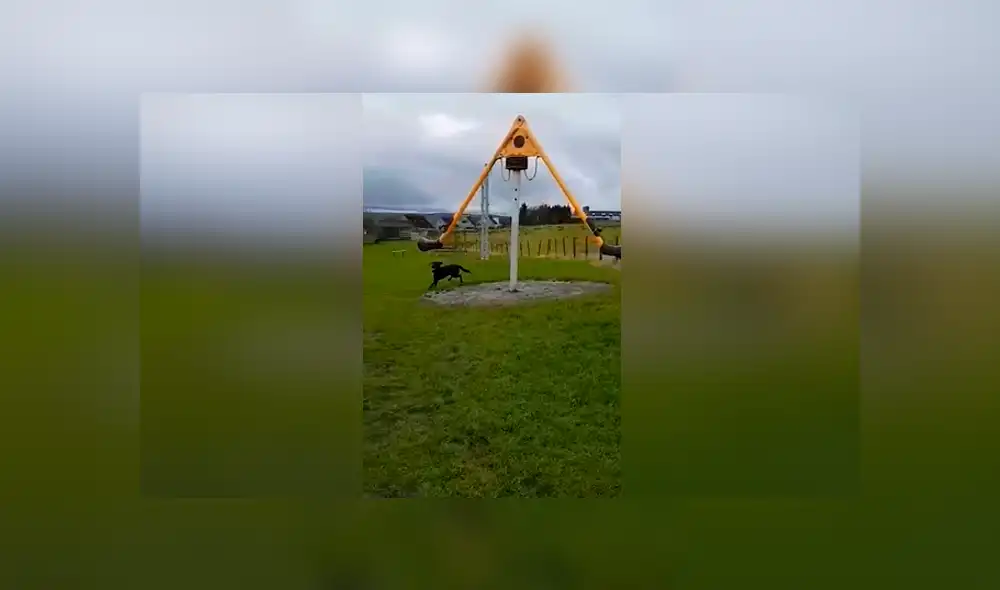 Desliza las imágenes para ver la divertida escena que protagonizó un perro callejero en un parque. Foto: Captura/Facebook Desliza las imágenes para ver la divertida escena que protagonizó un perro callejero en un parque. Foto: Captura/Facebook
