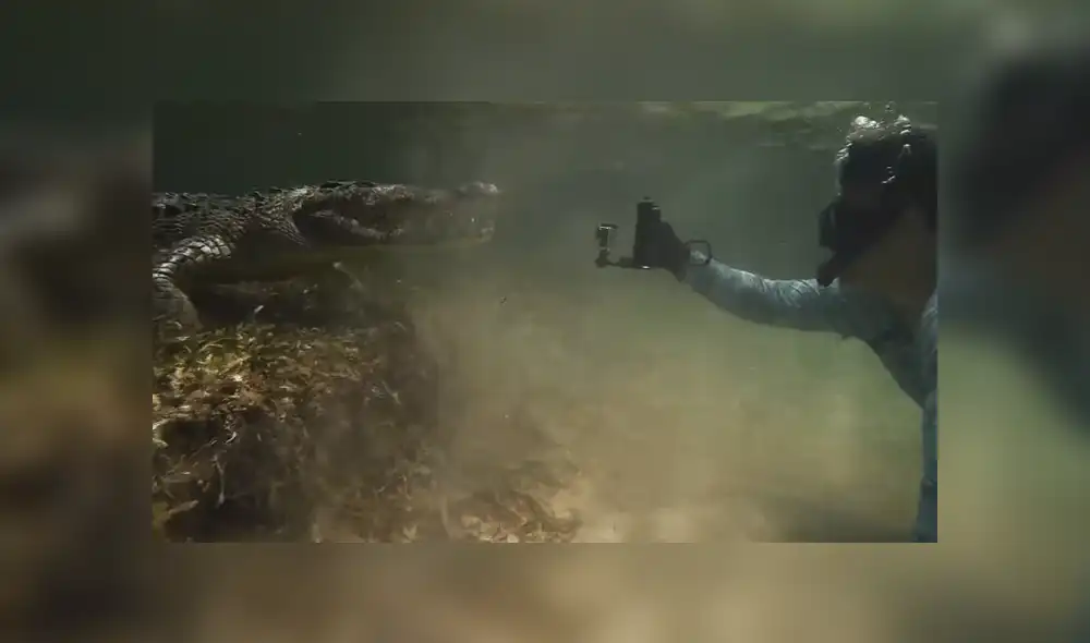El hombre se sumergió en las agua llenas de cocodrilos para poder grabarlos. Foto: YouTube El hombre se sumergió en las agua llenas de cocodrilos para poder grabarlos. Foto: YouTube