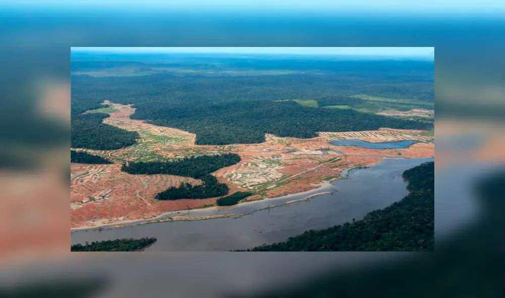 Amazonía (Foto: Risco Rodríguez)