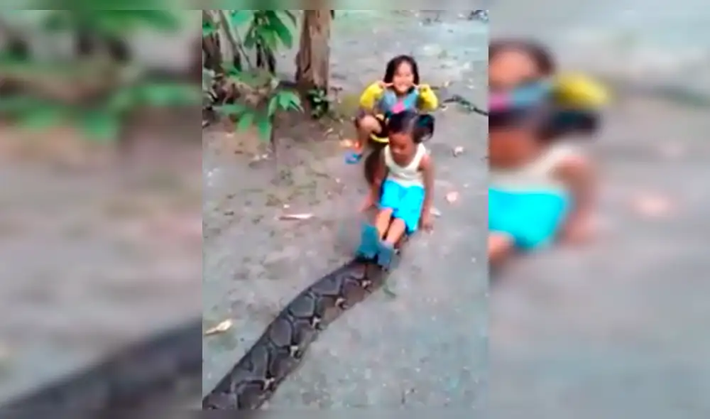Polémica en Facebook por niñas jugando con anaconda [VIDEO]