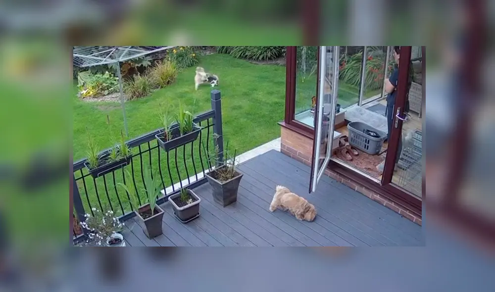 Desliza hacia la izquierda para ver más del video viral. Fotocaptura: TikTok Desliza hacia la izquierda para ver más del video viral. Fotocaptura: TikTok