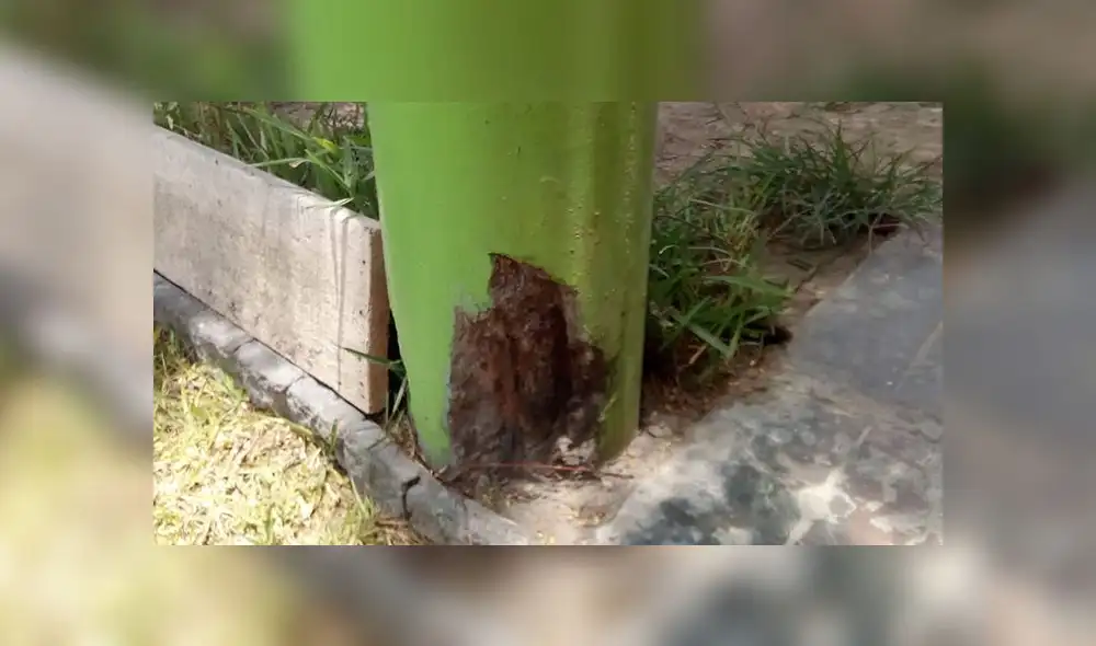 SJM: piden retiro de poste telefónico en mal estado