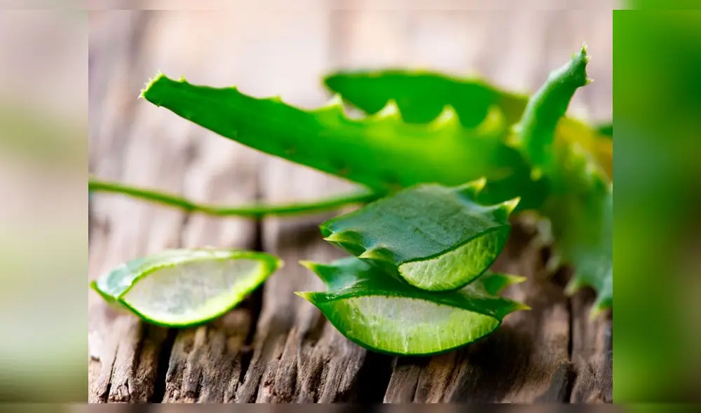 ¿Cómo hacer shampoo casero?