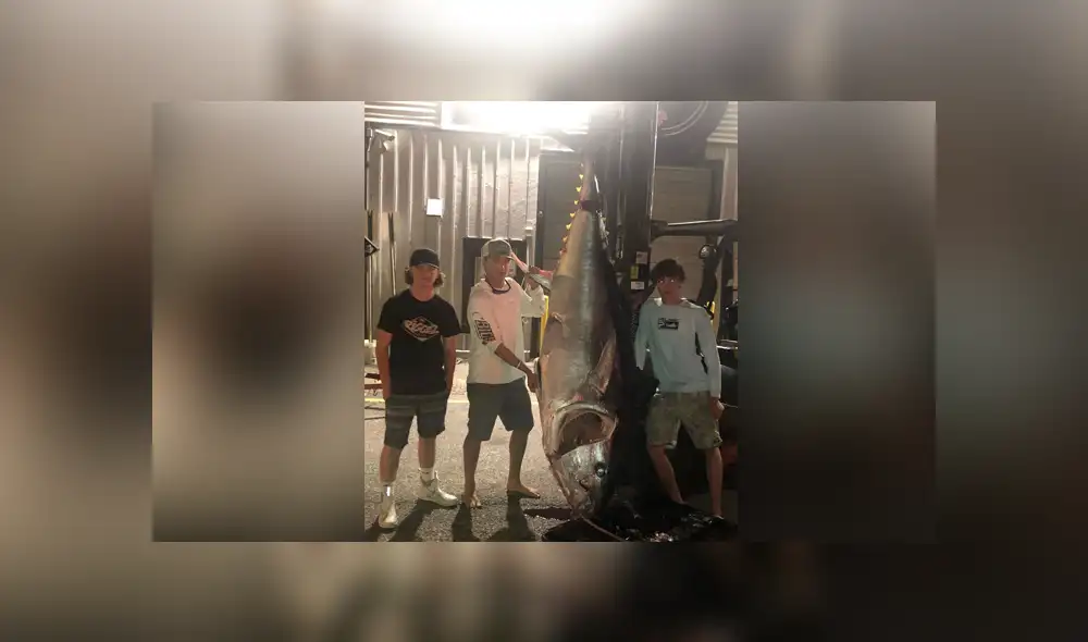 Unos jóvenes estuvieron largas horas tratando de atrapar al gigantesco pez. Foto: Boston Globe