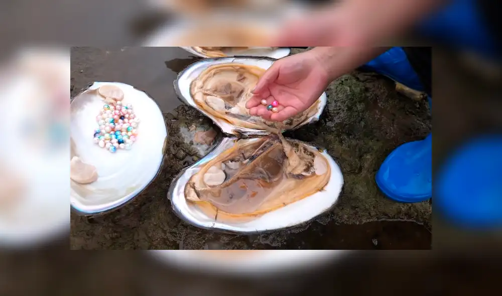 Desliza a la izquierda para ver el descubrimiento que ha sorprendido a los usuarios de YouTube. Foto: Captura. Desliza a la izquierda para ver el descubrimiento que ha sorprendido a los usuarios de YouTube. Foto: Captura.