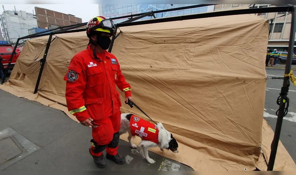 Can de rescate que ayuda a rescatar a albañil atrapado desde el sábado por derrumbe. / Créditos: Jéssica Merino / URPI-GLR Can de rescate que ayuda a rescatar a albañil atrapado desde el sábado por derrumbe. / Créditos: Jéssica Merino / URPI-GLR