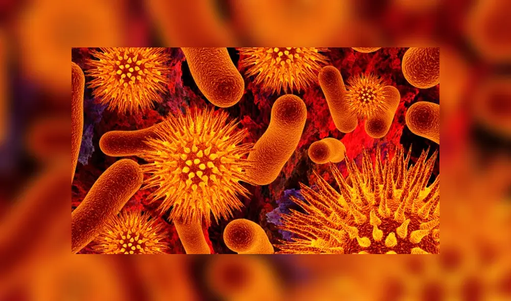 La fascitis necrotizante puede ser causada por diferentes tipos de bacterias, como Strep o Vibrio vulnificus del Grupo A. Foto: Difusión La fascitis necrotizante puede ser causada por diferentes tipos de bacterias, como Strep o Vibrio vulnificus del Grupo A. Foto: Difusión