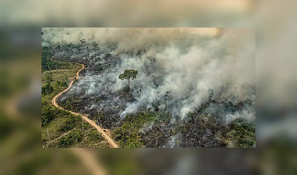Reacción de Brasil fue tardía.