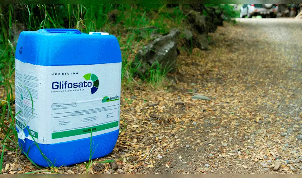 Glifosato: el químico dañino para la salud que causa controversia en Colombia Glifosato: el químico dañino para la salud que causa controversia en Colombia