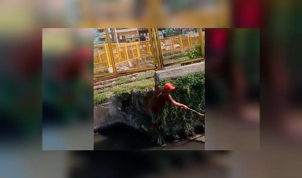 YouTube viral: Valiente hombre arriesga su vida para rescatar a perrito que iba a morir ahogado [VIDEO]