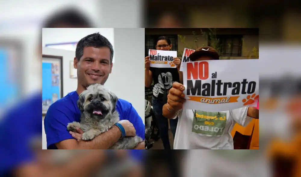 Pancho Cavero convoca a caminata a favor de los animales [VIDEO]