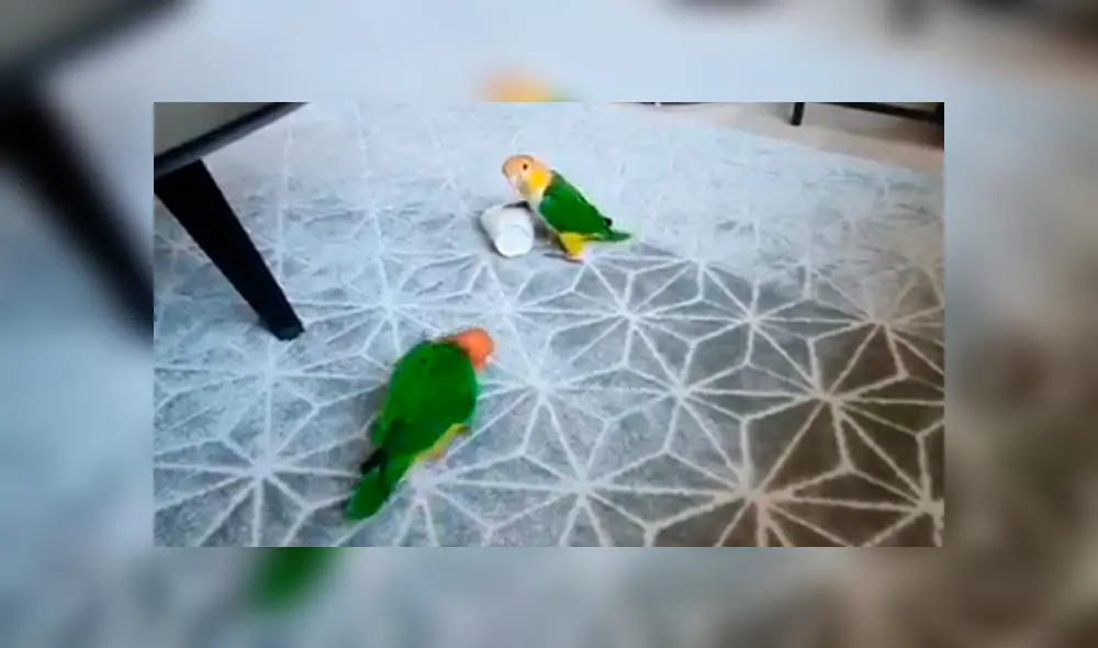 En Facebook, un pequeño logro no soportó que su hermano juegue con sus cosas y lo enfrentó. En Facebook, un pequeño logro no soportó que su hermano juegue con sus cosas y lo enfrentó.