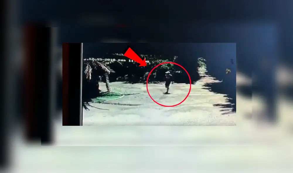 Youtube viral: Intenta entrar a una casa sin permiso y perros le dan una dura lección [VIDEO]