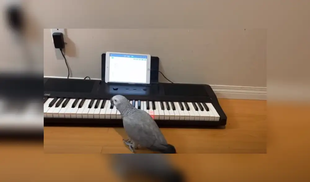 Desliza hacia la izquierda para ver más del video viral. Fotocaptura: YouTube Desliza hacia la izquierda para ver más del video viral. Fotocaptura: YouTube