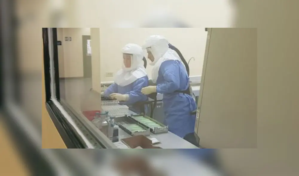 La UNMSM también ha puesto a disposición el Laboratorio
de Excelencia de Epidemiología Molecular y Genética para el análisis
muestras de coronavirus. (Imagen referencial) La UNMSM también ha puesto a disposición el Laboratorio
de Excelencia de Epidemiología Molecular y Genética para el análisis
muestras de coronavirus. (Imagen referencial)