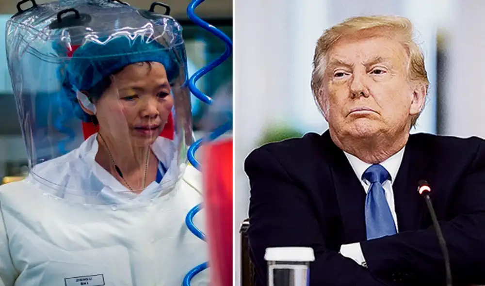 Shi Zhengli es una de las principales investigadoras de coronavirus de murciélagos del mundo. Foto: AFP.