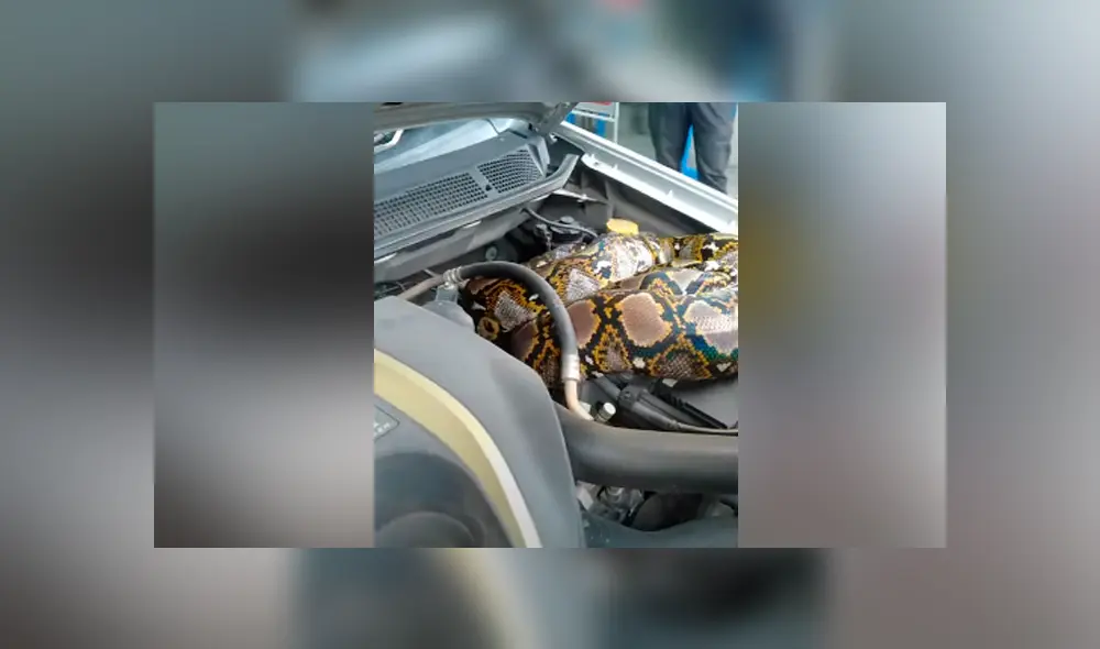 Desliza hacia la izquierda para ver las imágenes del viral de Facebook.