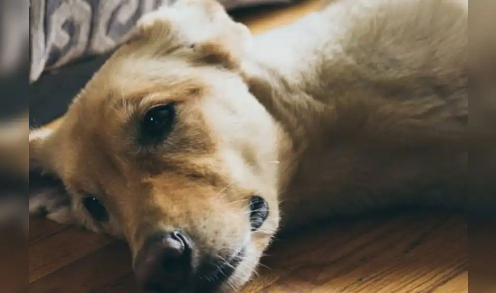 A market trader shows different currency notes in Caracas on March 10, 2019, during the third day of a massive power outage which has left Venezuelans without communications, electricity and water. - The unprecedented power outage already left 15 patients dead and threatens to extend indefinitely, increasing distress for the severe political and economic crisis hitting the oil-rich South American nation. (Photo by Cristian Hernandez / AFP) A market trader shows different currency notes in Caracas on March 10, 2019, during the third day of a massive power outage which has left Venezuelans without communications, electricity and water. - The unprecedented power outage already left 15 patients dead and threatens to extend indefinitely, increasing distress for the severe political and economic crisis hitting the oil-rich South American nation. (Photo by Cristian Hernandez / AFP)
