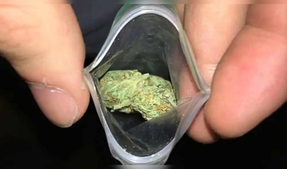 La carroza fúnebre contenía “super marihuana” o “marihuana cripy”, además de un kilo de heroína. (Foto: La Difusión) La carroza fúnebre contenía “super marihuana” o “marihuana cripy”, además de un kilo de heroína. (Foto: La Difusión)