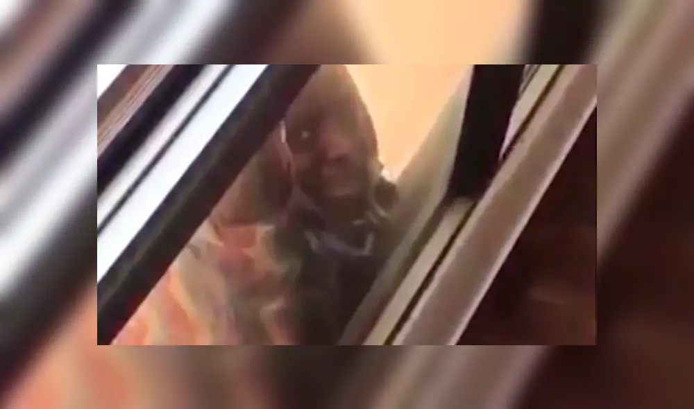 YouTube: empleada cae al vacío y jefa graba el accidente sin ayudarla [VIDEO]
