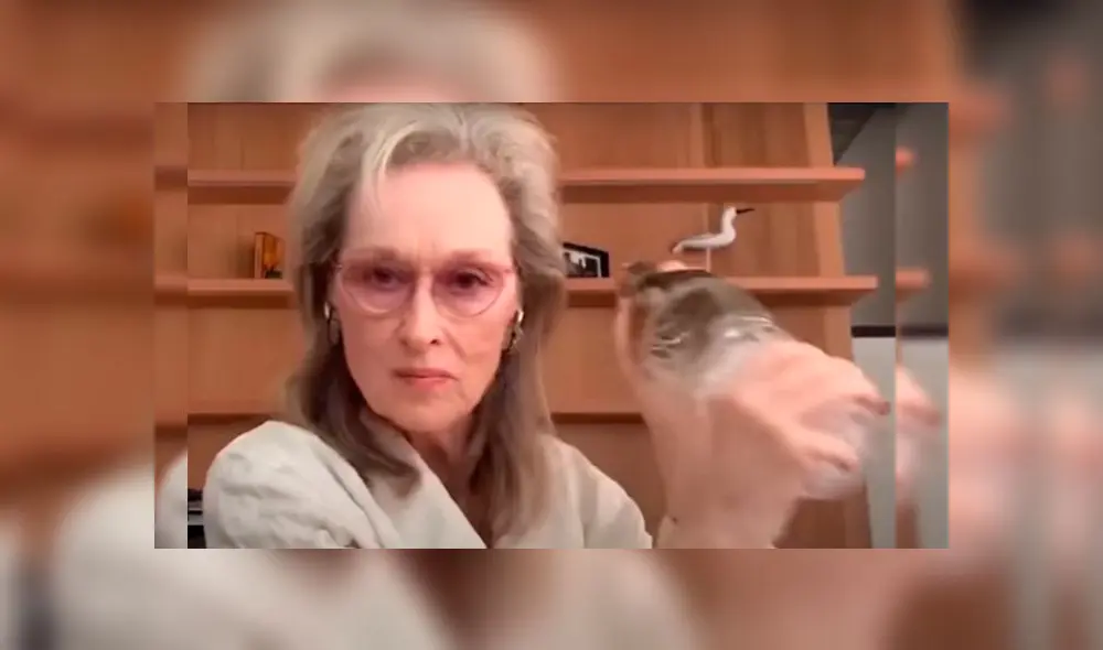 En el vídeo se puede observar a Streep preparando un Martini. (Foto: Captura)