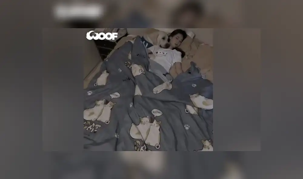 Desliza las imágenes para ver la tierna escena que protagonizó este perro junto a su dueña. Fotocapturas: Woof Woof/Facebook