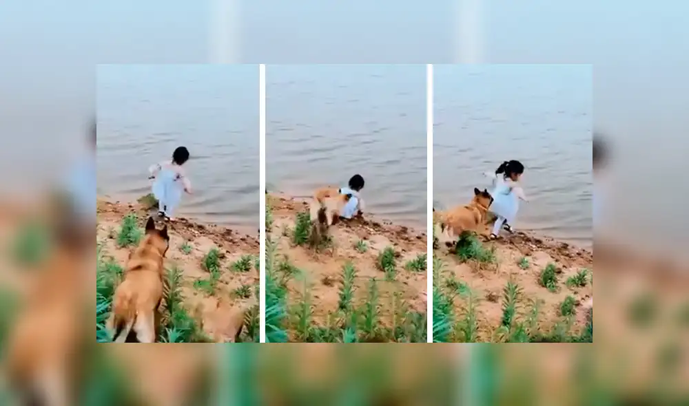 Facebook viral: niña se aproxima a peligroso río para sacar pelota y su perro llega a su rescate [VIDEO] 
