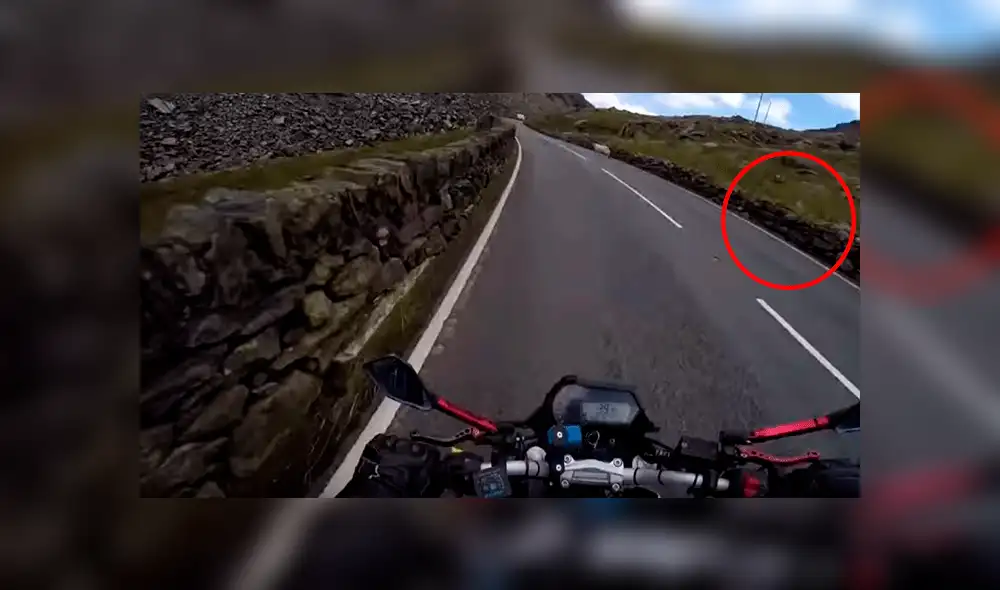 YouTube viral: motociclista pasa momentos de terror cuando casi atropella a enigmática criatura [VIDEO]