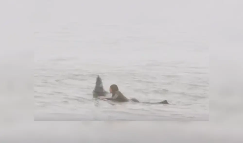 Desliza hacia la izquierda para ver las imágenes del viral de YouTube de la foca emergiendo del mar. Desliza hacia la izquierda para ver las imágenes del viral de YouTube de la foca emergiendo del mar.