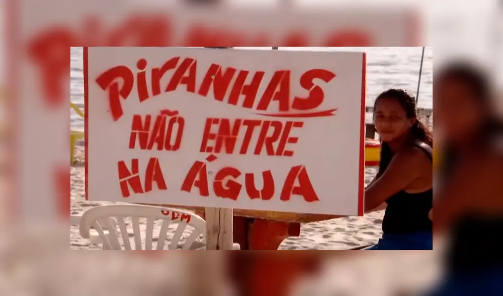 Pescador ingresa a peligrosa playa de Brasil para atrapar a peligrosa criatura marina que atacó a bañistas. Pescador ingresa a peligrosa playa de Brasil para atrapar a peligrosa criatura marina que atacó a bañistas.