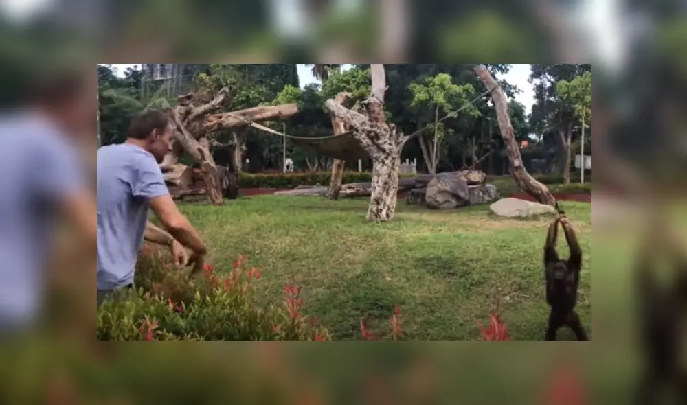 Desliza hacia la izquierda para ver más del video viral. Fotocaptura: YouTube Desliza hacia la izquierda para ver más del video viral. Fotocaptura: YouTube