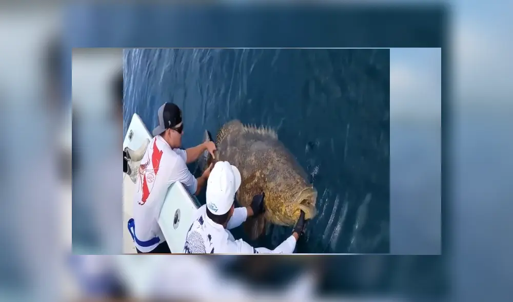 Desliza para ver los detalles del video viral publicado en YouTube. Foto: Captura. Desliza para ver los detalles del video viral publicado en YouTube. Foto: Captura.