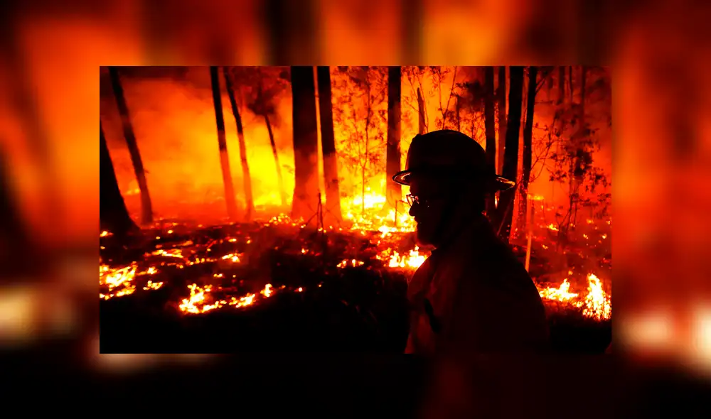 Incendio forestal en Australia Incendio forestal en Australia