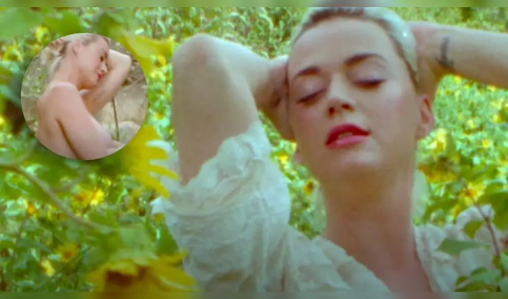 En las imágenes del clip se ve a la intérprete caminar hacia una cascada y posar en un jardín de margaritas. (Foto: Captura)