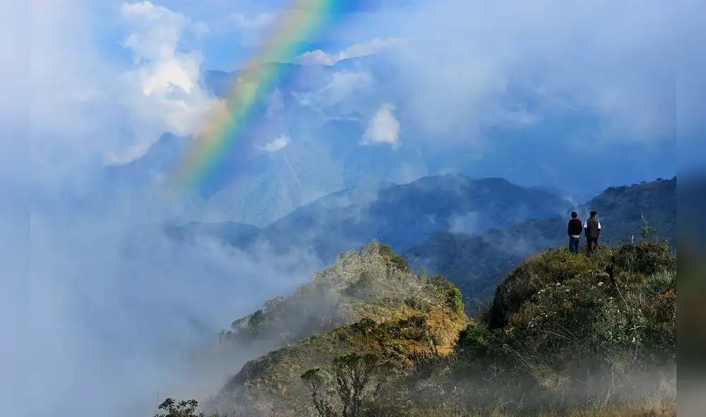 Paisaje forestal en peligro