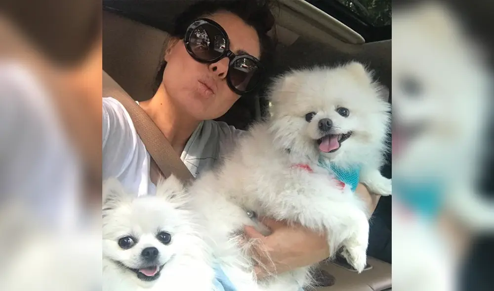 Yadhira Carrillo, Juan Collado, México