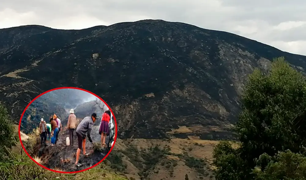 Entre las pérdidas están 6 mil plantaciones de pino y eucalipto. Foto: Faceook. Entre las pérdidas están 6 mil plantaciones de pino y eucalipto. Foto: Faceook.