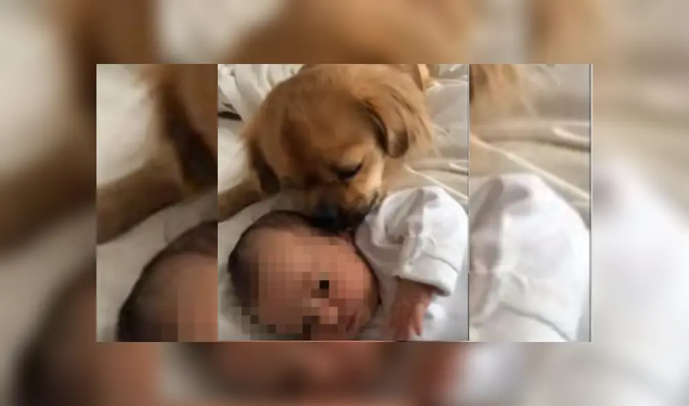 Desliza hacia la izquierda para ver más del video viral Desliza hacia la izquierda para ver más del video viral