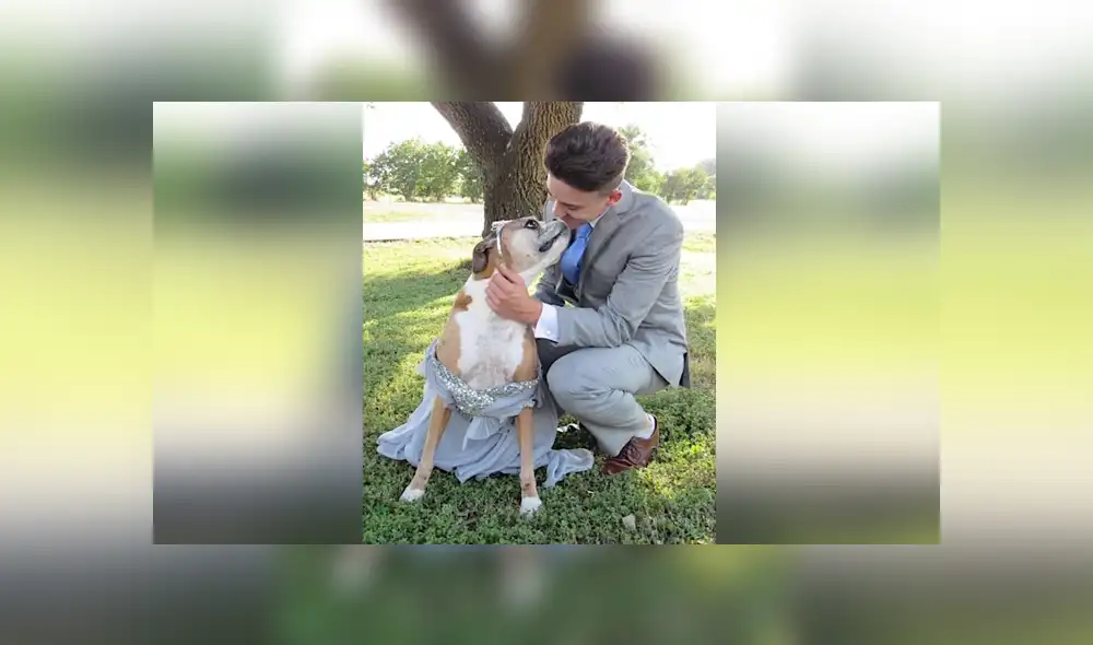 Desliza para ver los detalles de esta historia que se viralizó en Facebook. Foto: Captura. Desliza para ver los detalles de esta historia que se viralizó en Facebook. Foto: Captura.