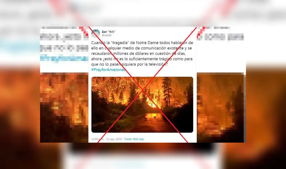 Imágenes falsas de los incendios en la Amazonía. Foto: AFP.