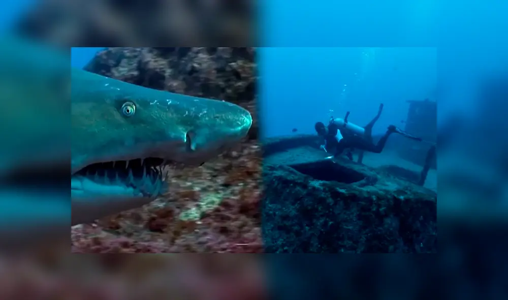 YouTube viral: buzo ingresa al mar en busca de ‘tesoro’ oculto y se topa con hambrientos tiburones.
