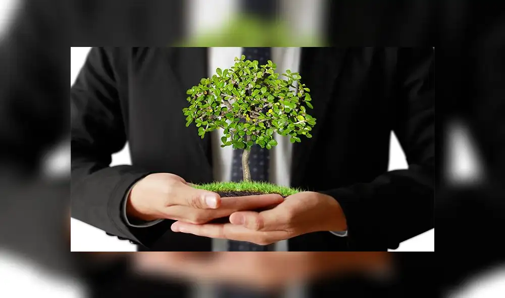 Profesionales comprometidos con el medio ambiente Profesionales comprometidos con el medio ambiente