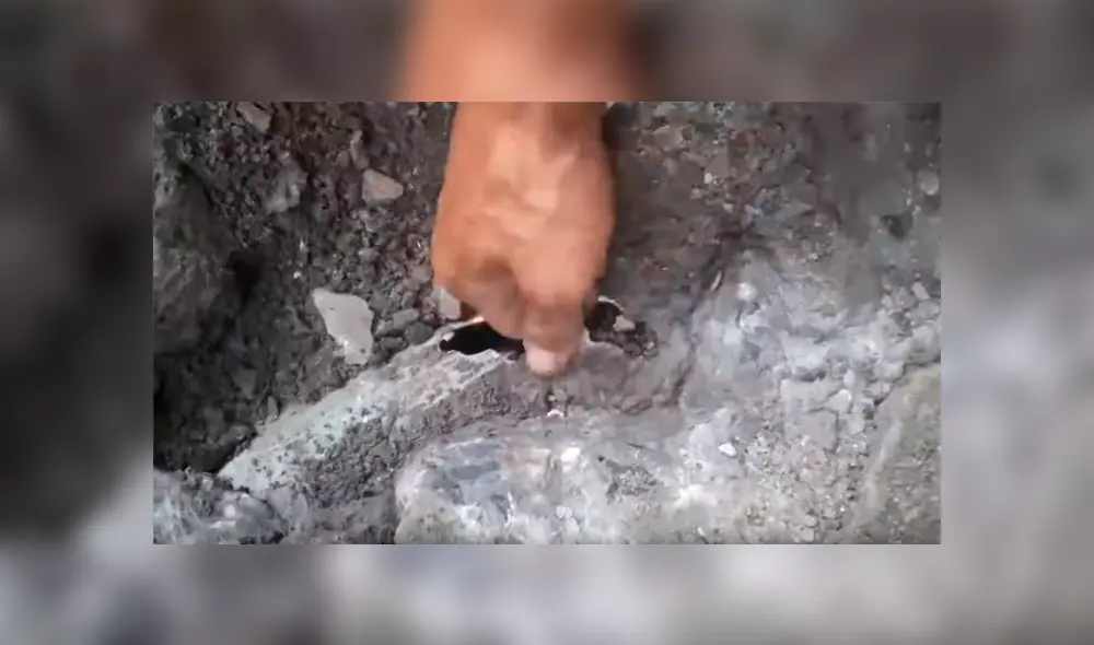 Facebook viral: oye desgarradores ruidos en tubería, la rompe y descubre tres aterradas criaturas [VIDEO]