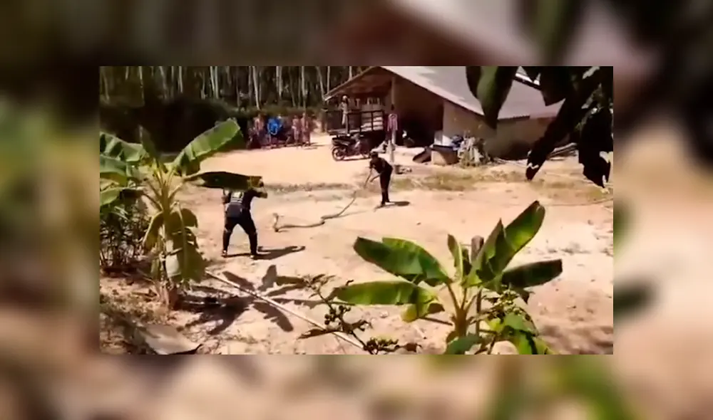 Desliza hacia la izquierda para ver el espeluznante hallazgo. Imágenes virales de YouTube. Desliza hacia la izquierda para ver el espeluznante hallazgo. Imágenes virales de YouTube.