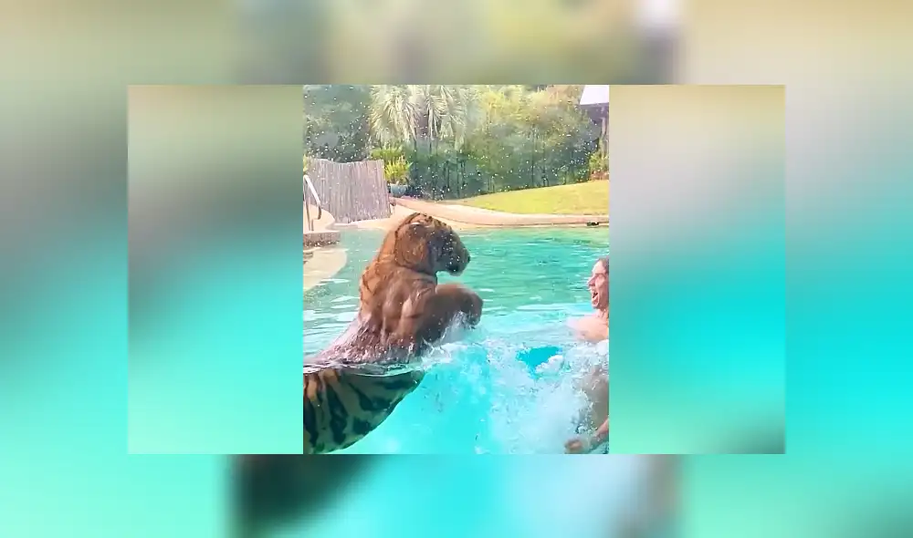 Desliza hacia la izquierda para ver las imágenes del viral de Facebook. Foto: Captura.