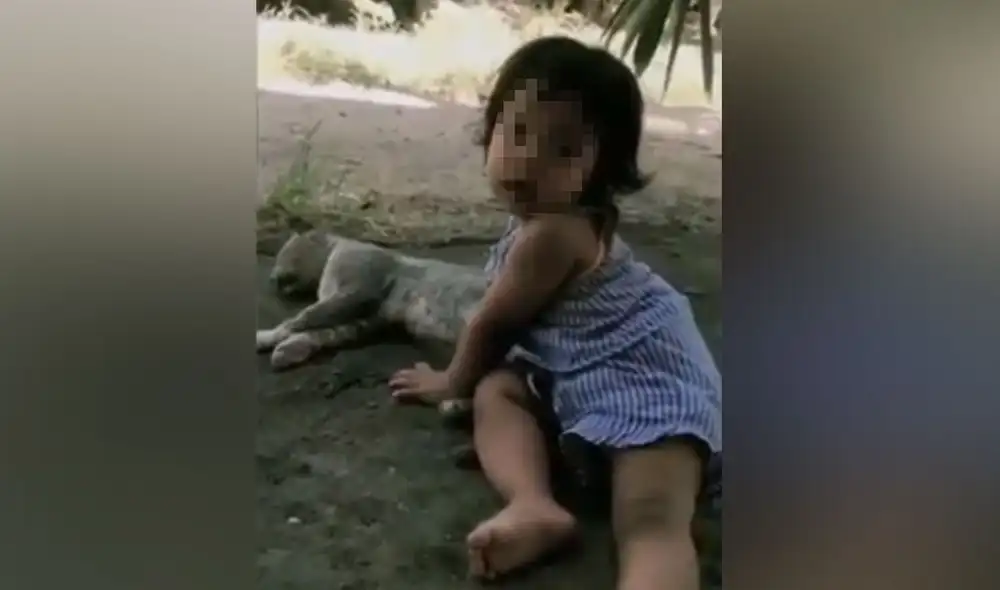 Desliza las imágenes para ver más detalles sobre esta cautivadora escena que conmovió a los usuarios. Foto: captura de YouTube Desliza las imágenes para ver más detalles sobre esta cautivadora escena que conmovió a los usuarios. Foto: captura de YouTube