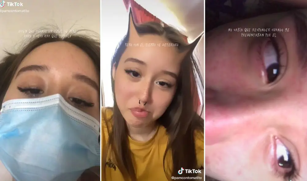 El meme del rímel seco es el nuevo trend de las redes sociales. Foto: composición LR/captura de TikTok/@pamcontomatito El meme del rímel seco es el nuevo trend de las redes sociales. Foto: composición LR/captura de TikTok/@pamcontomatito