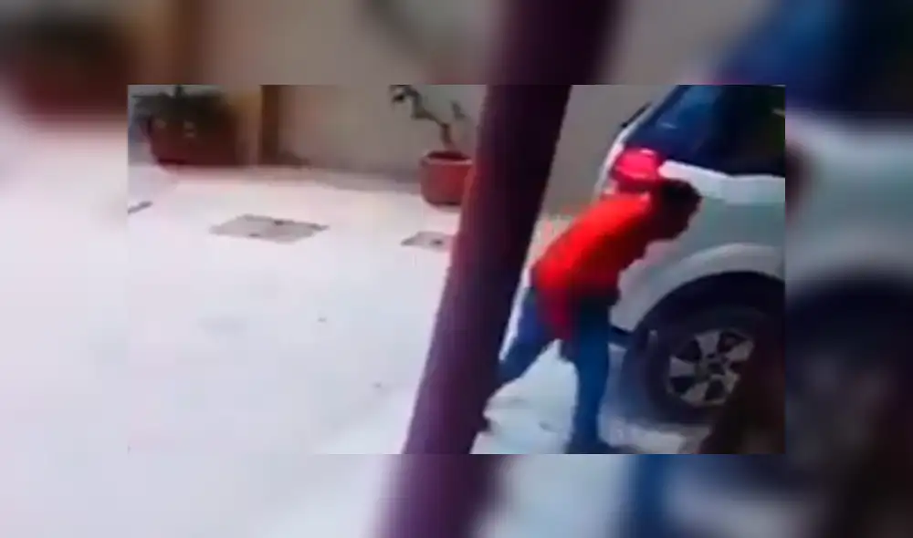 En YouTube, un delincuente aprovechó que una familia salió de su vivienda para ingresar y fue impedido por un perro. En YouTube, un delincuente aprovechó que una familia salió de su vivienda para ingresar y fue impedido por un perro.